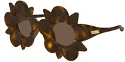 Acheter ou agrandir l'image du modèle Bottega Veneta BV1399S-008.