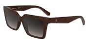 Acheter ou agrandir l'image du modèle Calvin Klein Jeans CKJ25602S-605.