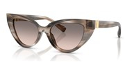 Dolce e Gabbana 0DG4497-34493B