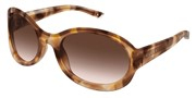 Acheter ou agrandir l'image du modèle Gucci GG2012S-016.