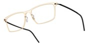 LINDBERG NOW6544C21MT802-PU9