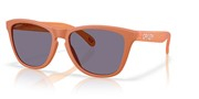 Oakley OO9013-M1