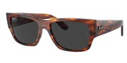 Acheter ou agrandir l'image du modèle Ray Ban 0RB0947S-95448.