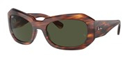 Acheter ou agrandir l'image du modèle Ray Ban 0RB2212-95431.