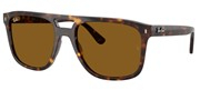 Acheter ou agrandir l'image du modèle Ray Ban 0RB2213-90233.