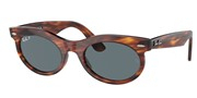 Acheter ou agrandir l'image du modèle Ray Ban 0RB2242-9543R.