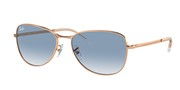 Acheter ou agrandir l'image du modèle Ray Ban 0RB3733-92023F.