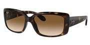 Acheter ou agrandir l'image du modèle Ray Ban 0RB4389-71051.