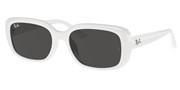 Acheter ou agrandir l'image du modèle Ray Ban 0RB4421D-677287.