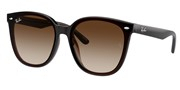 Acheter ou agrandir l'image du modèle Ray Ban 0RB4423D-71413.