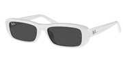 Acheter ou agrandir l'image du modèle Ray Ban 0RB4436D-677287.