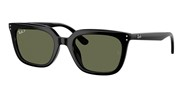 Acheter ou agrandir l'image du modèle Ray Ban 0RB4439D-9019A.