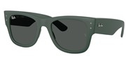 Acheter ou agrandir l'image du modèle Ray Ban 0RB4840S-665787.