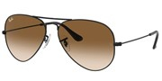 Ray Ban RB3025-00251