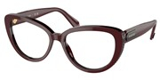 Acheter ou agrandir l'image du modèle Swarovski Eyewear 0SK2014-1019.