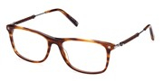 Acheter ou agrandir l'image du modèle Tods Eyewear TO5266-053.