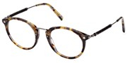 Acheter ou agrandir l'image du modèle Tods Eyewear TO5276-056.