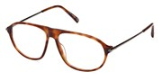 Acheter ou agrandir l'image du modèle Tods Eyewear TO5285-053.
