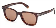 Acheter ou agrandir l'image du modèle Ermenegildo Zegna EZ0248-52E.